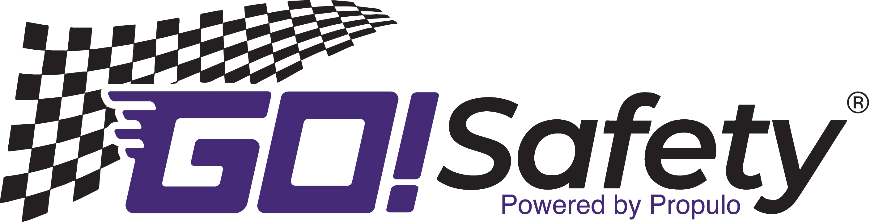 GO!Safety Logo®_Color GO!Safety_Logo